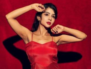 Ullasam Film Actress Pavithra Lakshmi's Hot And Sexy Pictures In Red Short Dress
