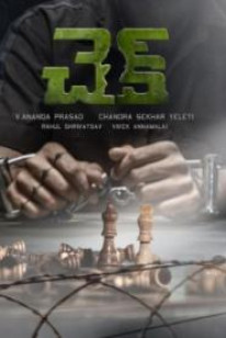 Check Box Office Collection