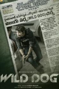 Wild Dog Box Office Collection