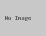 Supriya Sule Says Shah Rukh And Deepika 'Look Fabulous'; Questions Politicians Who Criticize Pathaan 